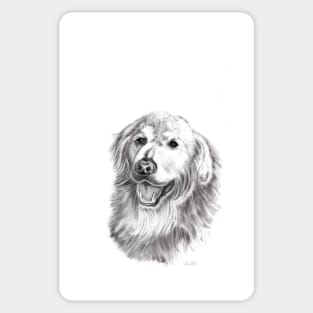 Golden Retriever Sticker